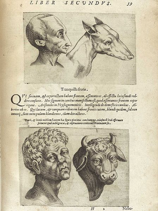 A physiognomy tract from 1586